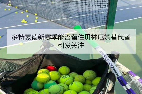 多特蒙德新赛季能否留住贝林厄姆替代者引发关注